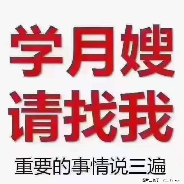 为什么要学习月嫂，育婴师？ - 其他广告 - 广告专区 - 云浮分类信息 - 云浮28生活网 yf.28life.com