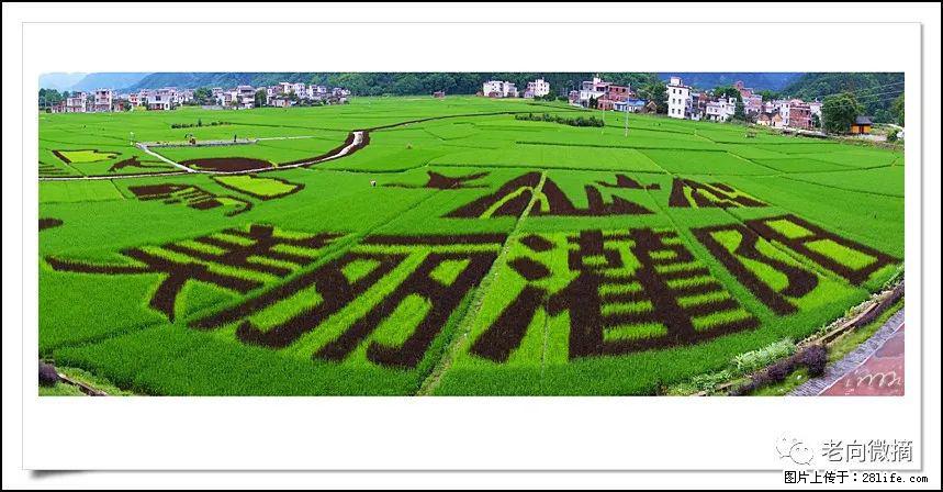 【春天,广西桂林灌阳县向您发出邀请!】开篇 - 游山玩水 - 云浮生活社区 - 云浮28生活网 yf.28life.com