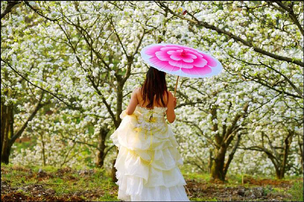 【春天,广西桂林灌阳县向您发出邀请!】我们在灌阳看梨花 - 游山玩水 - 云浮生活社区 - 云浮28生活网 yf.28life.com