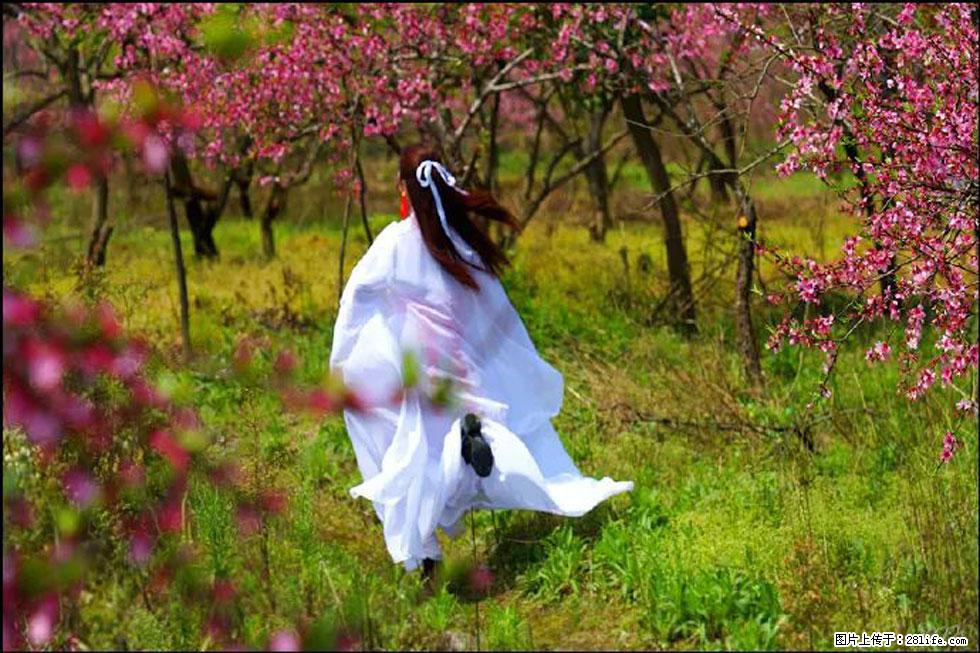 【春天,广西桂林灌阳县向您发出邀请!】官庄村有个醉美的桃花园 - 游山玩水 - 云浮生活社区 - 云浮28生活网 yf.28life.com