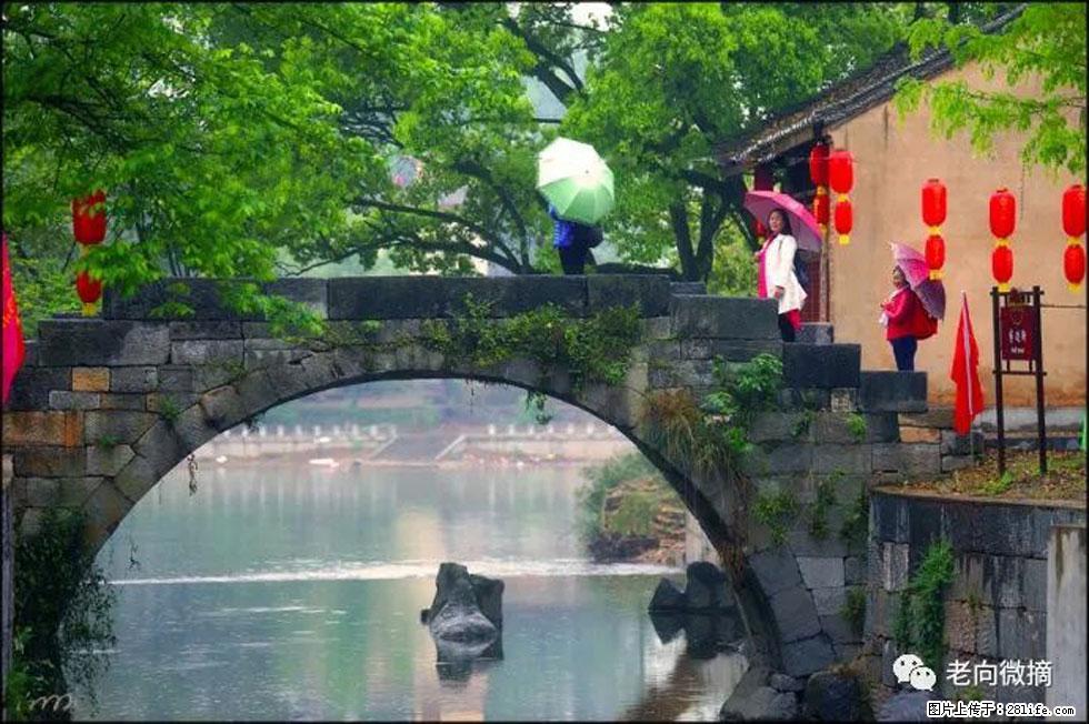 【春天,广西桂林灌阳县向您发出邀请!】江口老街又逢春 - 游山玩水 - 云浮生活社区 - 云浮28生活网 yf.28life.com