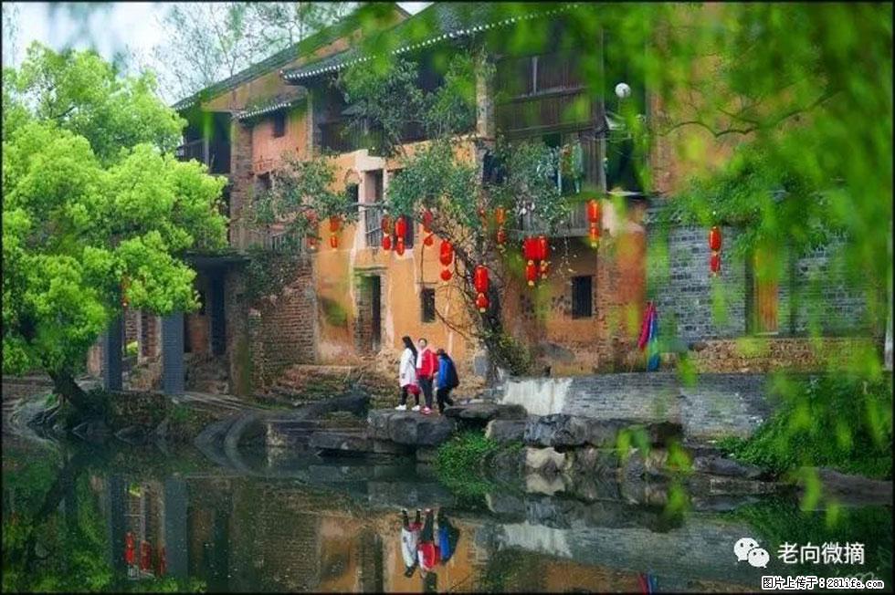 【春天,广西桂林灌阳县向您发出邀请!】江口老街又逢春 - 游山玩水 - 云浮生活社区 - 云浮28生活网 yf.28life.com