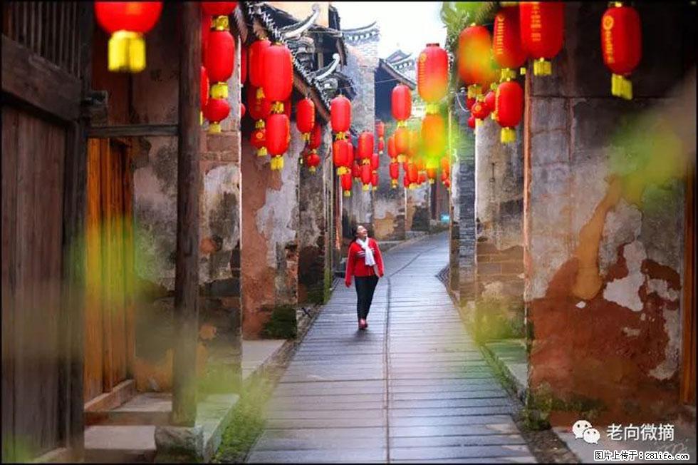 【春天,广西桂林灌阳县向您发出邀请!】江口老街又逢春 - 游山玩水 - 云浮生活社区 - 云浮28生活网 yf.28life.com