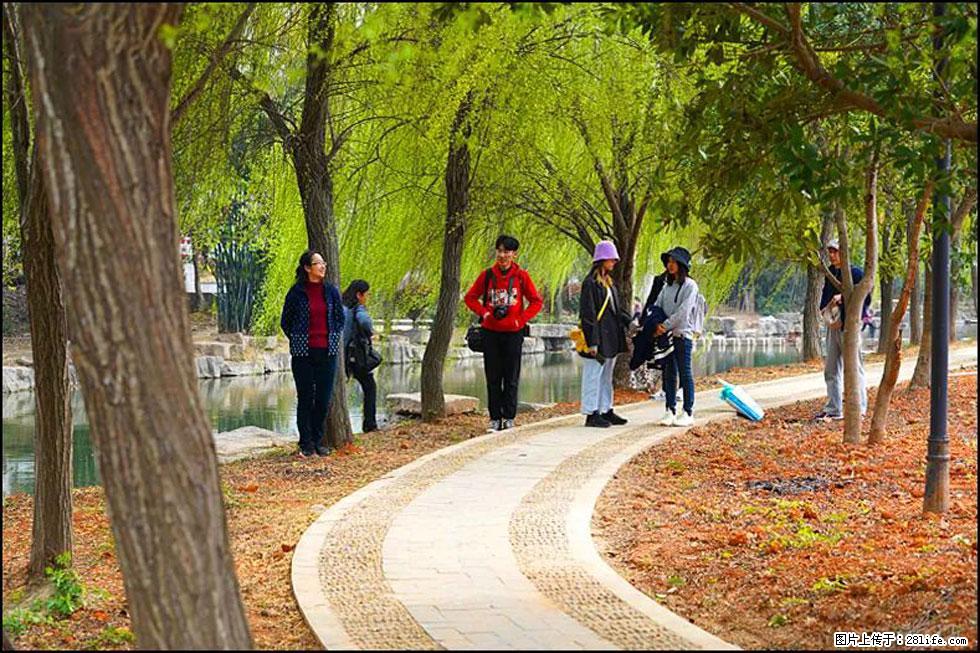 【春天,广西桂林灌阳县向您发出邀请!】江口老街又逢春 - 游山玩水 - 云浮生活社区 - 云浮28生活网 yf.28life.com