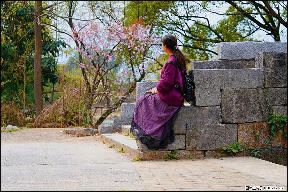 【春天,广西桂林灌阳县向您发出邀请!】江口老街又逢春 - 游山玩水 - 云浮生活社区 - 云浮28生活网 yf.28life.com