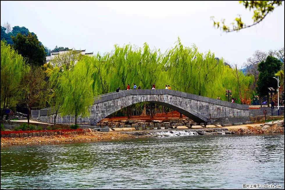 【春天,广西桂林灌阳县向您发出邀请!】江口老街又逢春 - 游山玩水 - 云浮生活社区 - 云浮28生活网 yf.28life.com