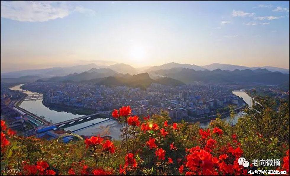 【春天,广西桂林灌阳县向您发出邀请!】登麒麟山,相约映山红 - 游山玩水 - 云浮生活社区 - 云浮28生活网 yf.28life.com