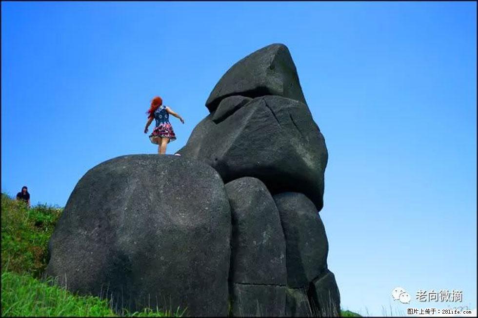 【春天,广西桂林灌阳县向您发出邀请!】宝盖山上映山红 - 游山玩水 - 云浮生活社区 - 云浮28生活网 yf.28life.com