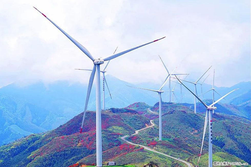 【春天,广西桂林灌阳县向您发出邀请!】春木界上映山红 - 游山玩水 - 云浮生活社区 - 云浮28生活网 yf.28life.com