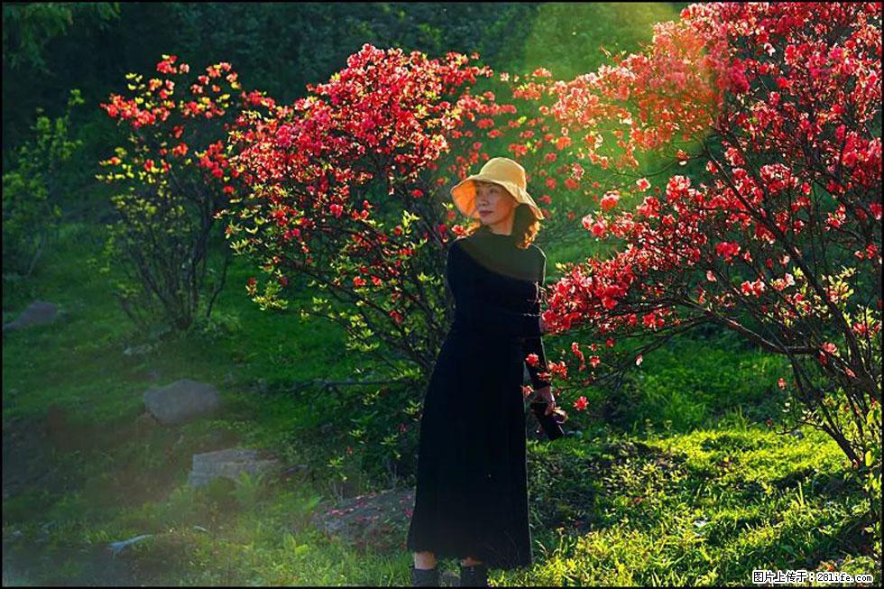 【春天,广西桂林灌阳县向您发出邀请!】春木界上映山红 - 游山玩水 - 云浮生活社区 - 云浮28生活网 yf.28life.com