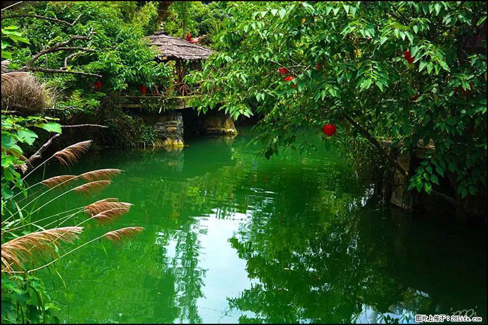 【春天,广西桂林灌阳县向您发出邀请!】如梦似幻莲溪庐 - 游山玩水 - 云浮生活社区 - 云浮28生活网 yf.28life.com