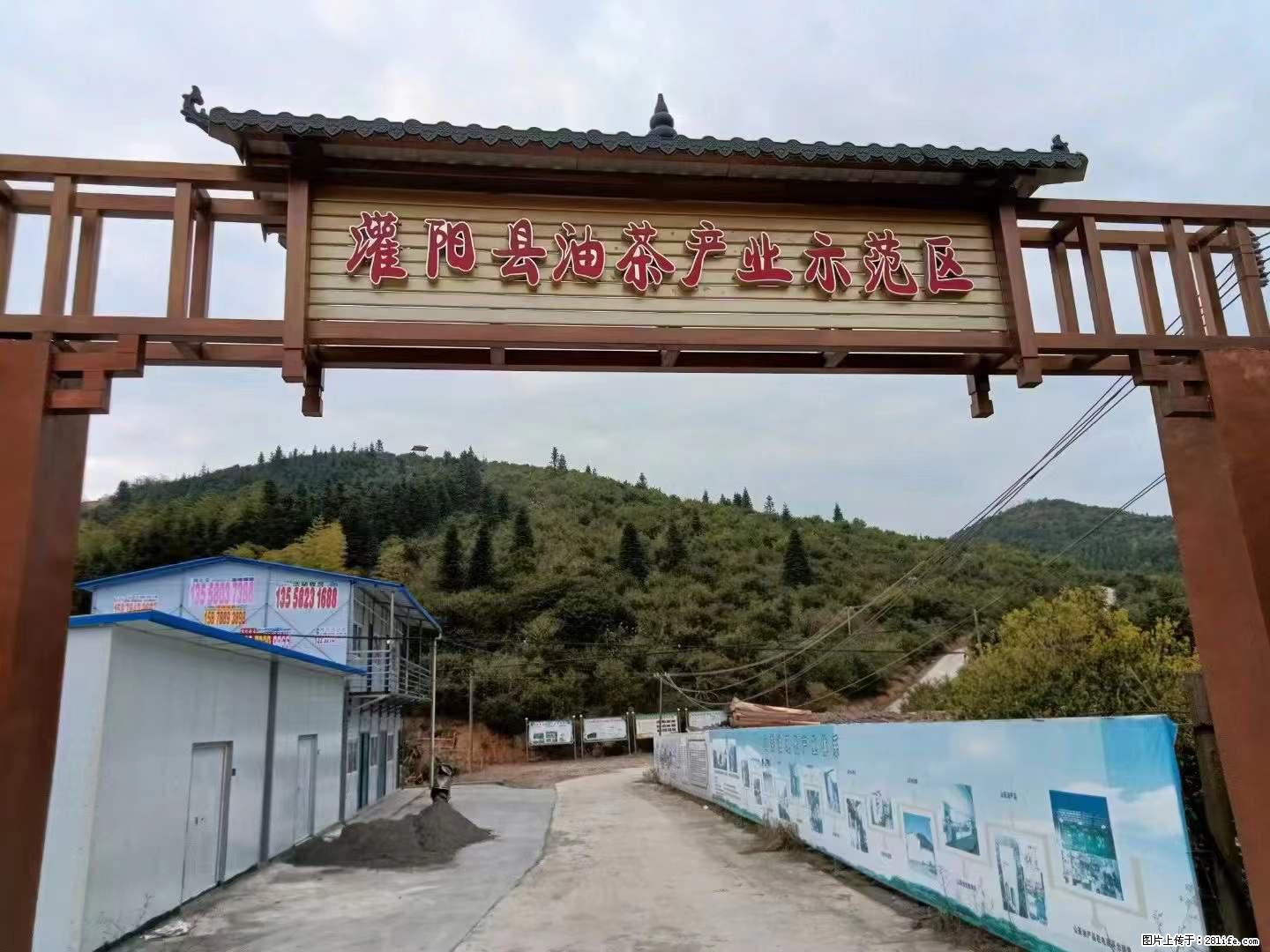 【灌阳县油茶产业示范区】一个有着充实的精神生活的人,对待身外之物自会有一种淡泊的态度 - 美食天地 - 云浮生活社区 - 云浮28生活网 yf.28life.com