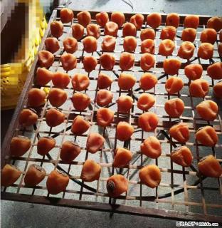 广西桂林平乐桥亭【柿饼之乡】2025年纯手工制作、无任何添加剂的第一批柿饼准备上市了，欢迎联系订购！ - 云浮28生活网 yf.28life.com