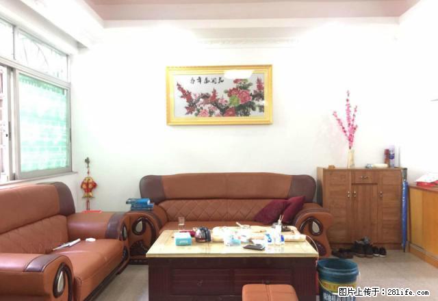 安居楼振华路 全屋豪华家私家电 拎包入住 另有大量房源租售 - 房屋出租 - 房屋租售 - 云浮分类信息 - 云浮28生活网 yf.28life.com