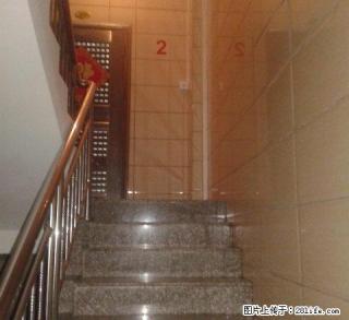 金山区自建楼 2室1厅1卫 - 云浮28生活网 yf.28life.com