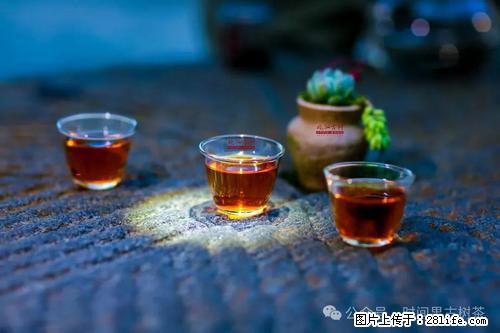 时间果百年古树2025年春红茶 - 购物交流 - 云浮生活社区 - 云浮28生活网 yf.28life.com