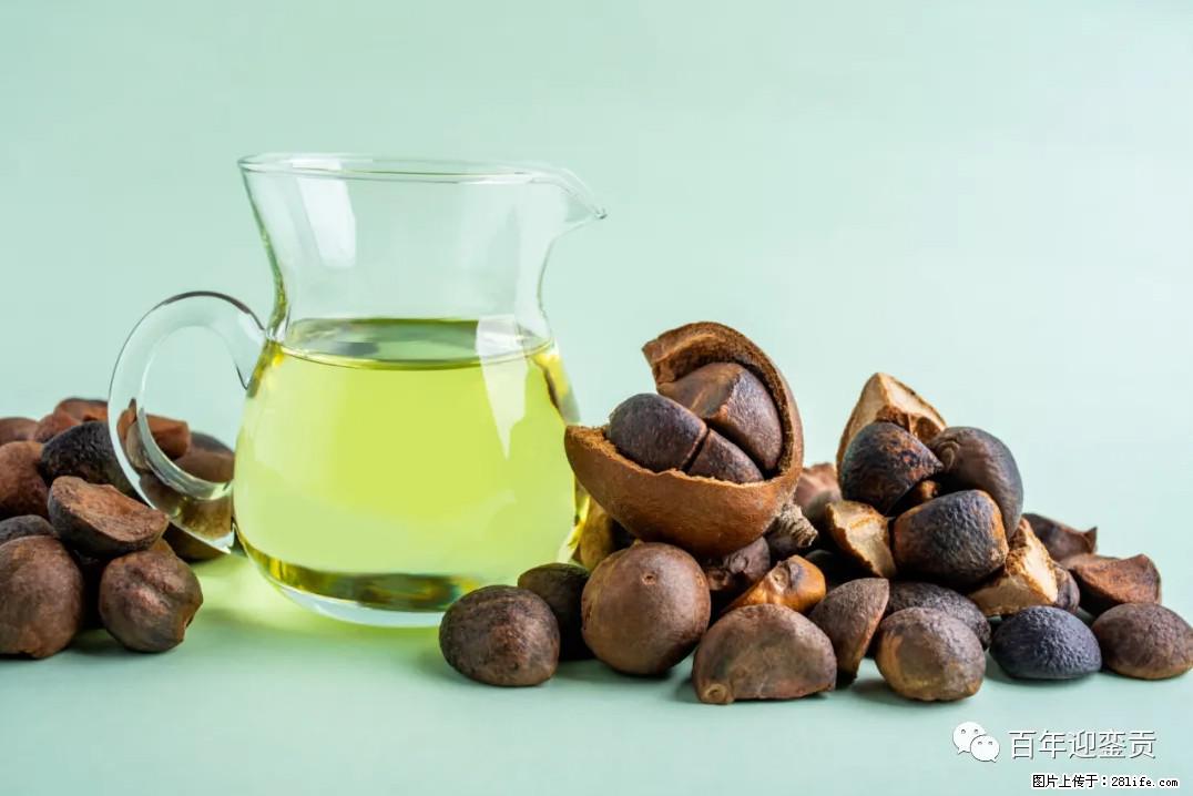 世界没有真相,只有认知,最好的食用油是中国的山茶油! - 云浮生活资讯 - 云浮28生活网 yf.28life.com