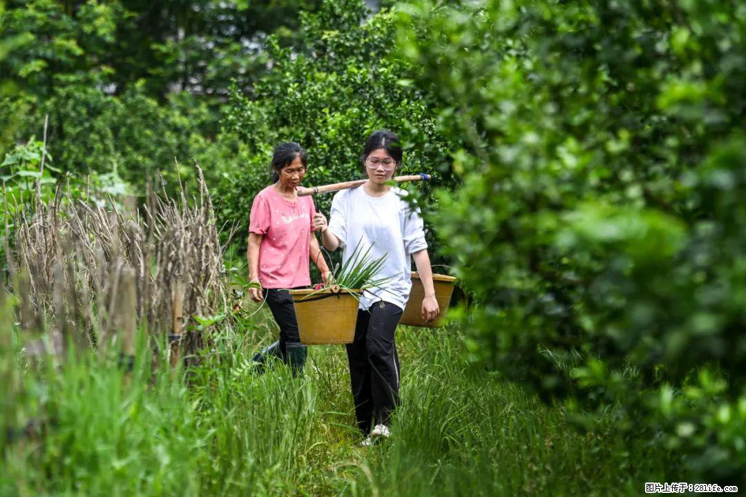 全网追的“扁担女孩”,找了一份暑假工,时薪12元 - 云浮生活资讯 - 云浮28生活网 yf.28life.com