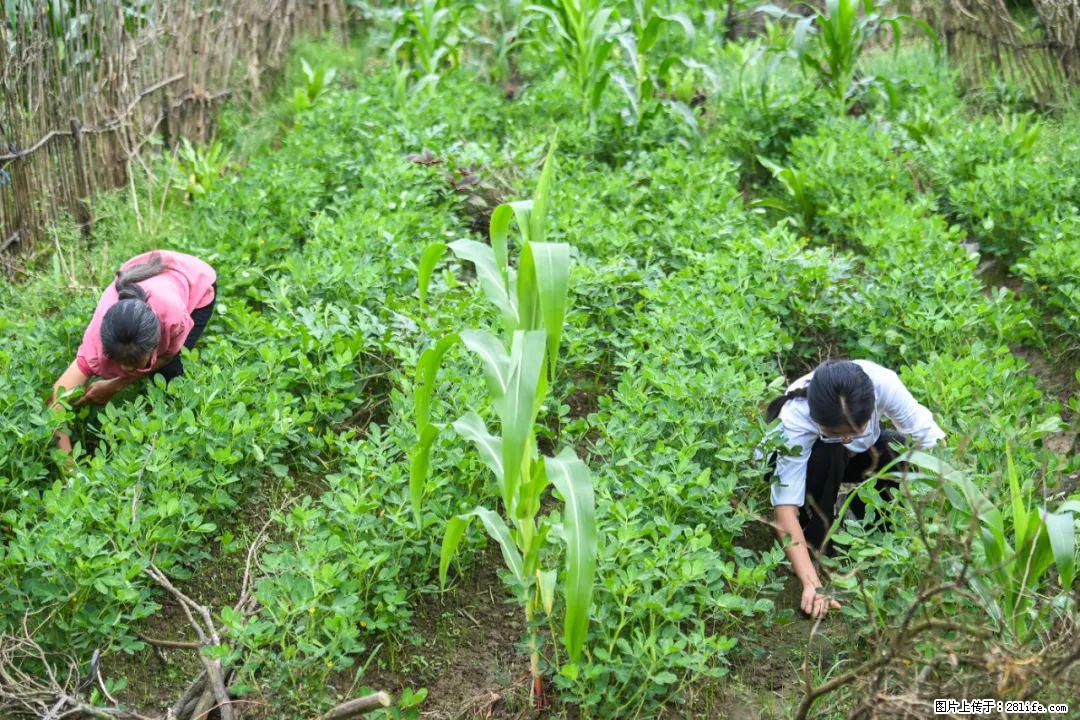 全网追的“扁担女孩”,找了一份暑假工,时薪12元 - 云浮生活资讯 - 云浮28生活网 yf.28life.com