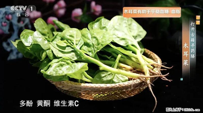 比牛奶补钙还厉害!凉血解毒、稳血糖...这菜冬天必吃,很多人却当草 - 云浮生活资讯 - 云浮28生活网 yf.28life.com