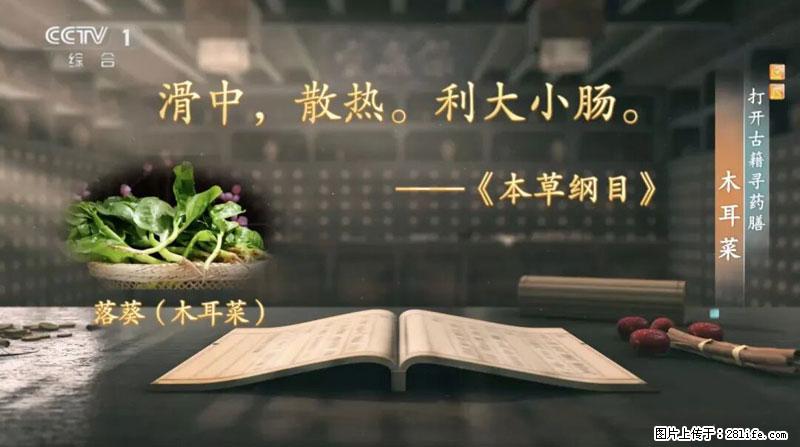 比牛奶补钙还厉害!凉血解毒、稳血糖...这菜冬天必吃,很多人却当草 - 云浮生活资讯 - 云浮28生活网 yf.28life.com