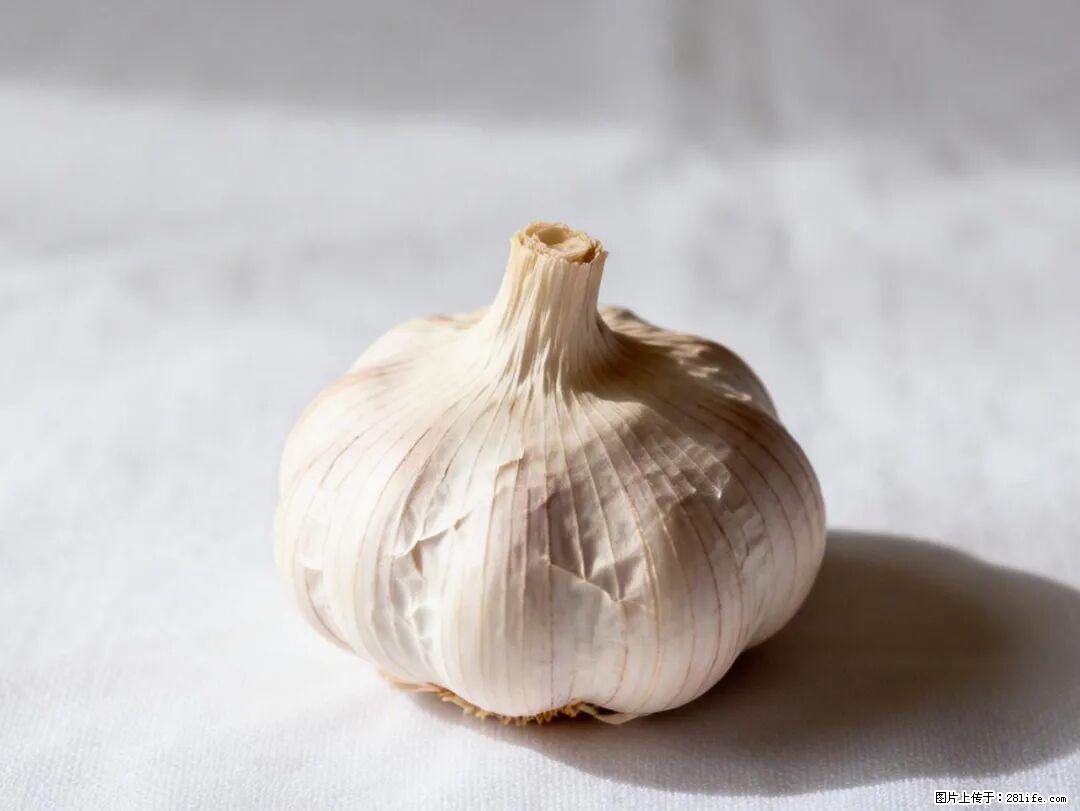 关于大蒜，除了“天然抗生素”，这4个谣言更该警惕! - 云浮生活资讯 - 云浮28生活网 yf.28life.com