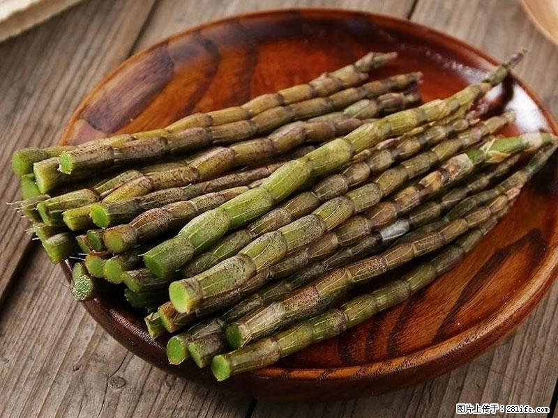 铁皮石斛的作用与功能主治 - 云浮生活资讯 - 云浮28生活网 yf.28life.com