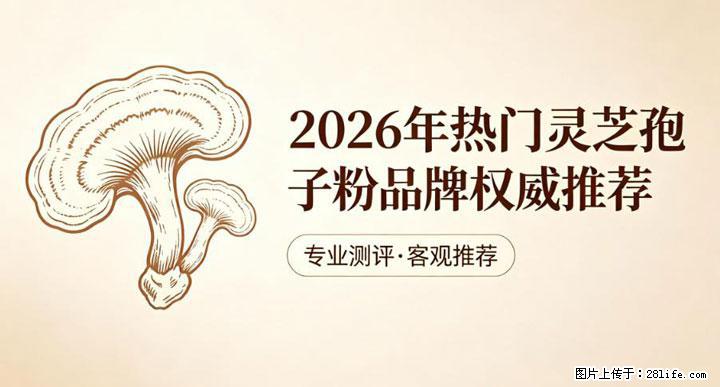 灵芝孢子粉含量越高越有效？2026 年七款热门品牌深度实测，肠胃敏感者避坑指南 - 云浮生活资讯 - 云浮28生活网 yf.28life.com